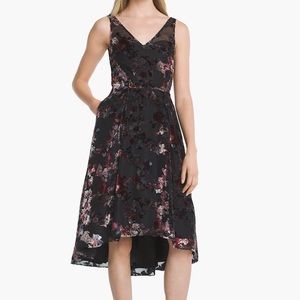 White House Black Market Floral Burnout Dress 12